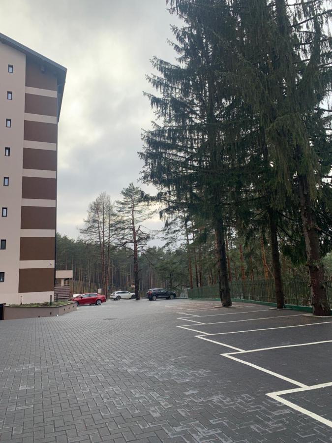 Lux Apartman Ss Zlatibor Vila Pekovic Green Экстерьер фото