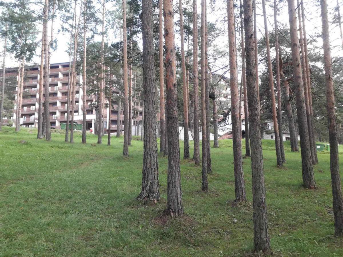Lux Apartman Ss Zlatibor Vila Pekovic Green Экстерьер фото